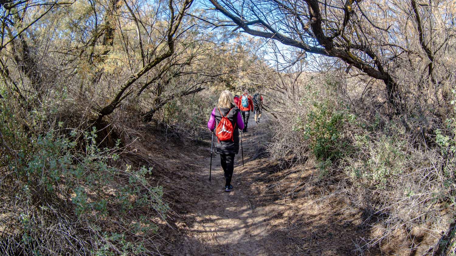 Elda celebra el Día Mundial de los Humedales con la inauguración de la nueva ruta hacia el pantano