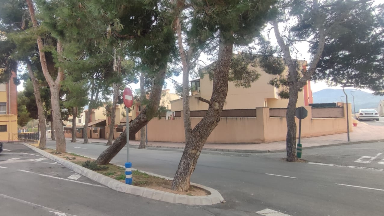 La Universidad de Alicante estudia una posible deformación geológica en el subsuelo de Monóvar